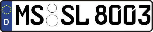 MS-SL8003