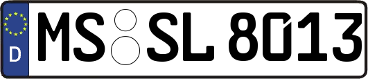 MS-SL8013