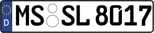 MS-SL8017