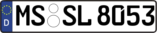 MS-SL8053