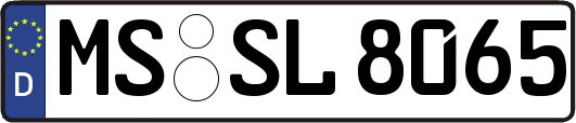 MS-SL8065