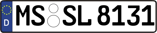 MS-SL8131