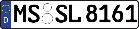 MS-SL8161