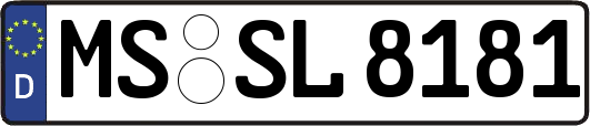MS-SL8181