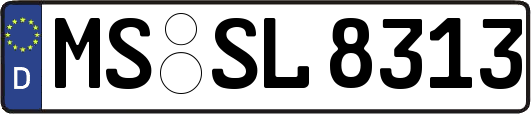 MS-SL8313