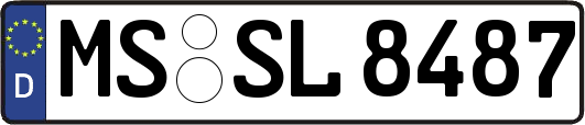 MS-SL8487