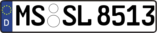 MS-SL8513