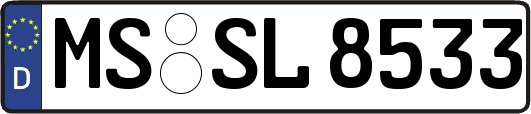MS-SL8533