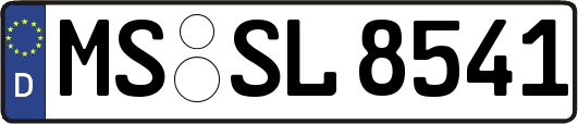 MS-SL8541
