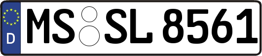 MS-SL8561
