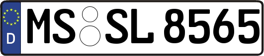 MS-SL8565