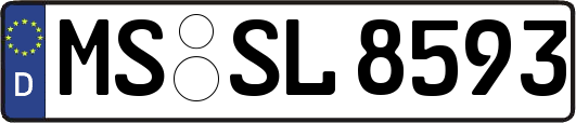 MS-SL8593