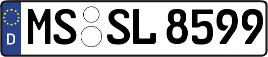MS-SL8599