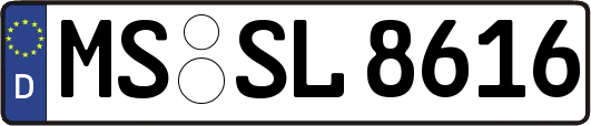 MS-SL8616