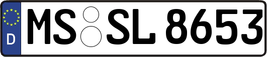 MS-SL8653