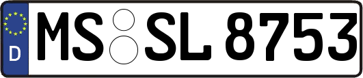 MS-SL8753