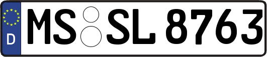 MS-SL8763