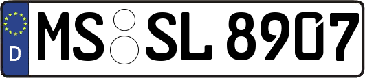 MS-SL8907