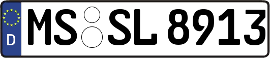 MS-SL8913