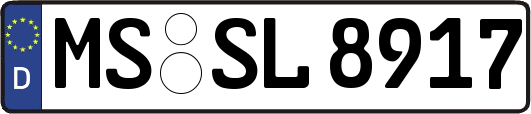 MS-SL8917