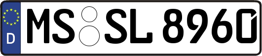MS-SL8960