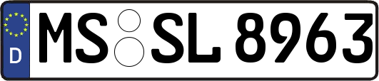 MS-SL8963