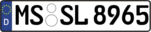 MS-SL8965