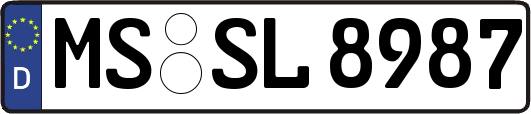 MS-SL8987