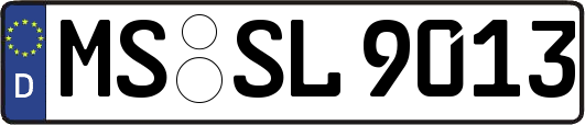 MS-SL9013