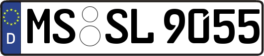 MS-SL9055