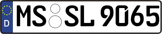MS-SL9065