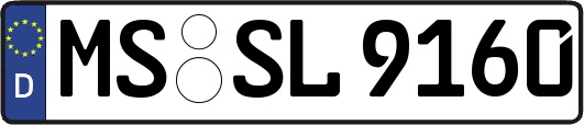 MS-SL9160