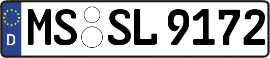 MS-SL9172