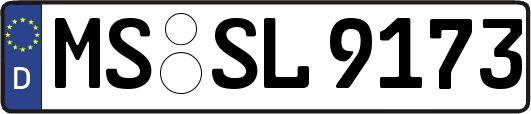 MS-SL9173