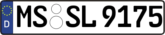 MS-SL9175