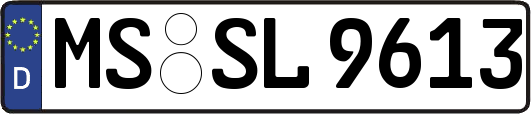 MS-SL9613