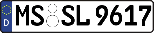 MS-SL9617