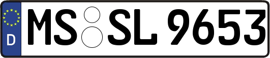 MS-SL9653