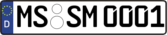 MS-SM0001