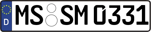 MS-SM0331