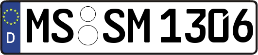 MS-SM1306