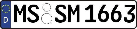 MS-SM1663