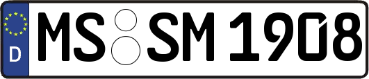 MS-SM1908