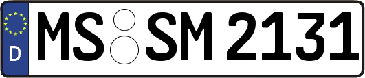 MS-SM2131