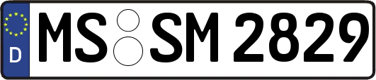 MS-SM2829