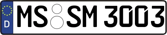 MS-SM3003