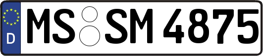 MS-SM4875