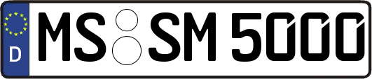 MS-SM5000