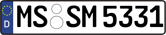 MS-SM5331