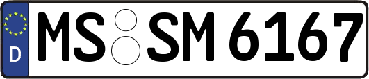 MS-SM6167